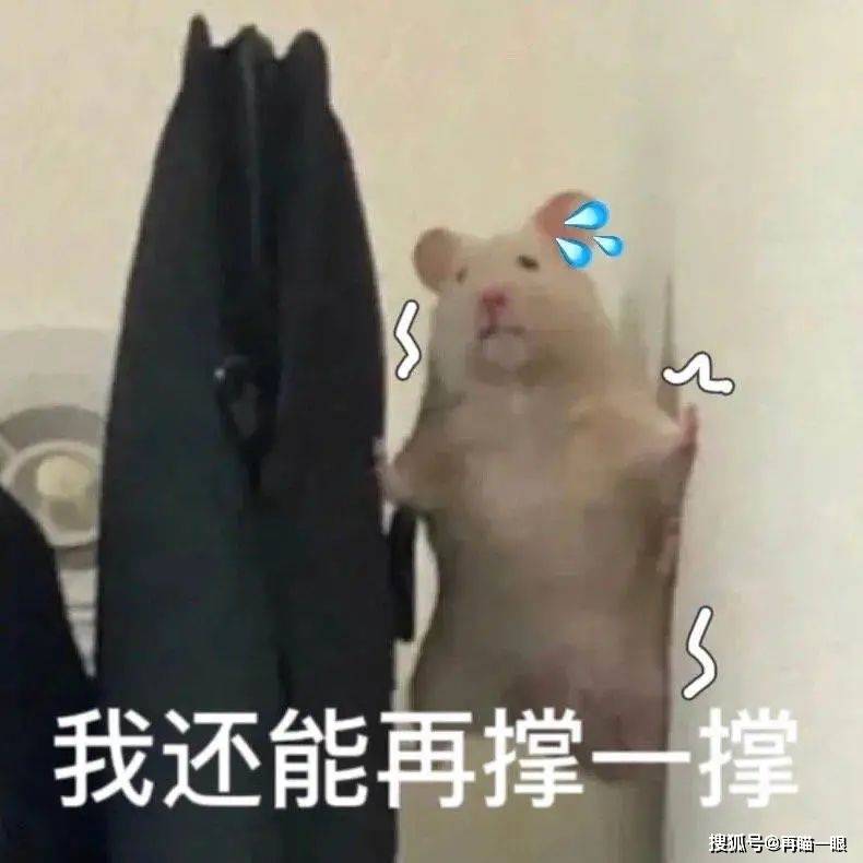 在高德地图给老板差评，爽