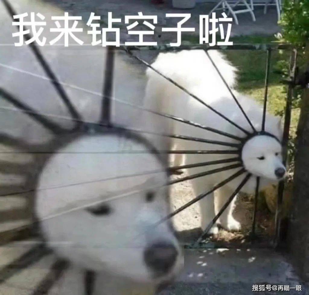 在高德地图给老板差评，爽
