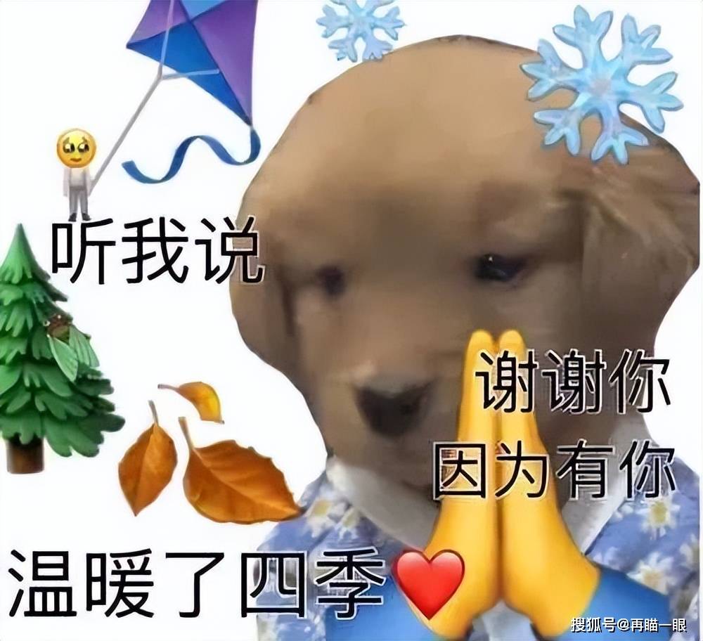 在高德地图给老板差评，爽