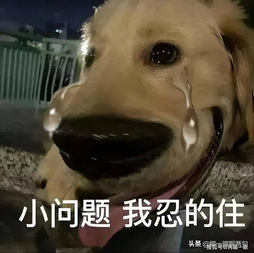 在高德地图给老板差评，爽