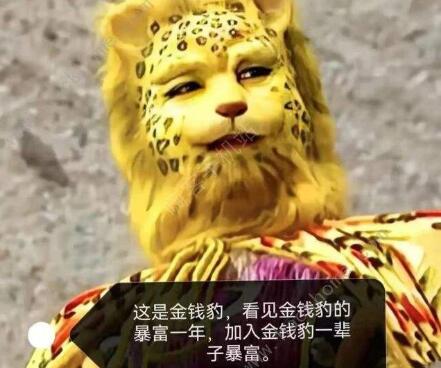 金钱豹是什么意思-金钱豹梗怎么突然就火了