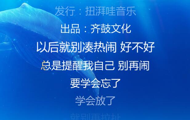 抖音以后就别凑热闹好不好是什么歌