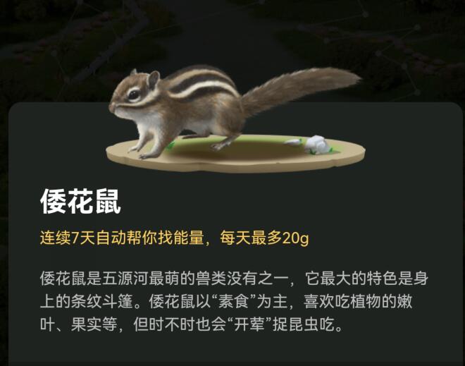 支付宝怎么取消动物巡护-蚂蚁森林怎么更换巡护动物？