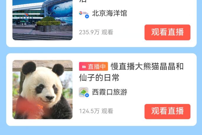 支付宝中大熊猫直播在哪里看？