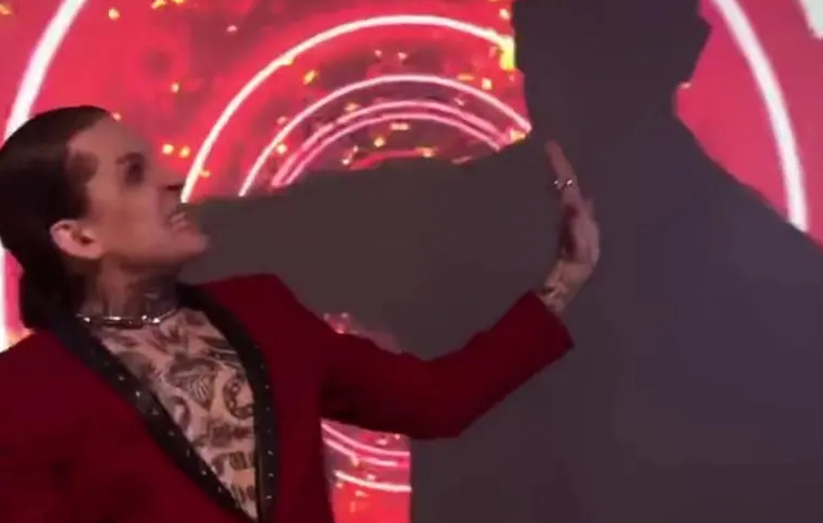抖音我是老虎你是豹豹是什么梗？