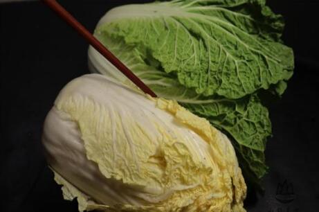 绿白菜和黄白菜哪个好？黄心白菜和大白菜的区别