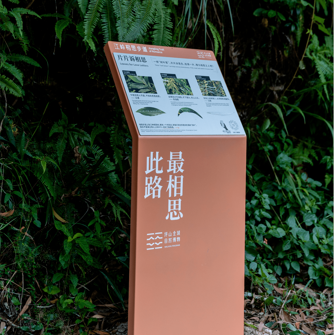 来坪山一起Gap Day，和所有烦恼疲惫说拜拜~