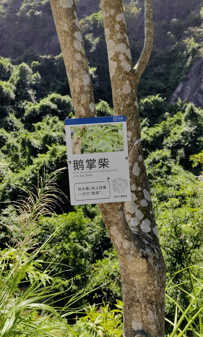 来坪山一起Gap Day，和所有烦恼疲惫说拜拜~