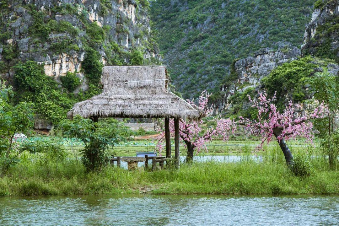 “恐龙扛狼”发源地，住的都是什么神仙？