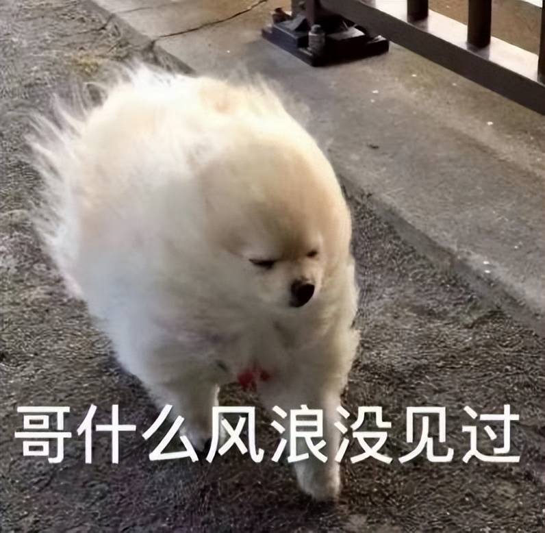 我嘞个豆！10万级SUV对比，除了长安欧尚X7PLUS还有谁？