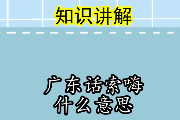 索嗨是什么意思