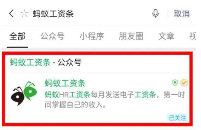 蚂蚁工资条怎么查工资？