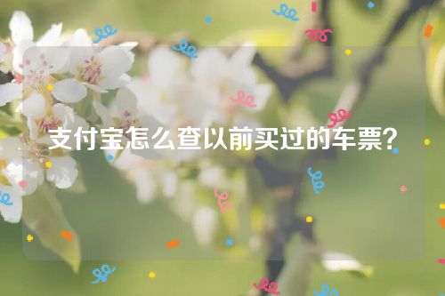 支付宝怎么查以前买过的车票？