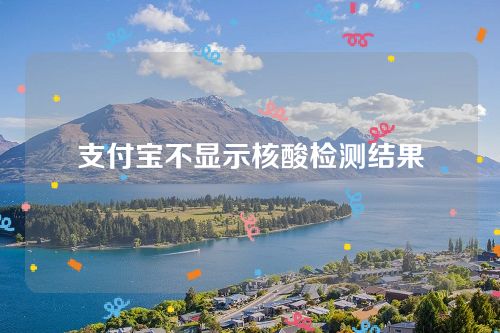 明明做了核酸为什么支付宝不显示核酸检测结果？