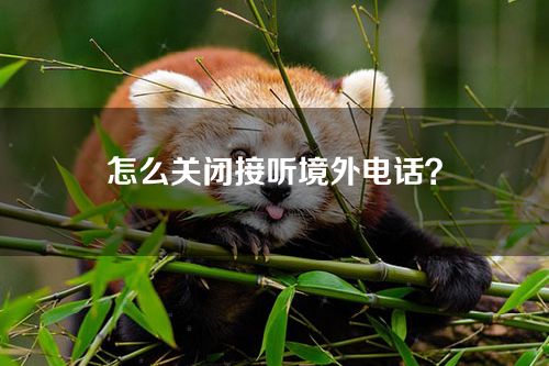 怎么关闭接听境外电话？如何设置境外来电拦截