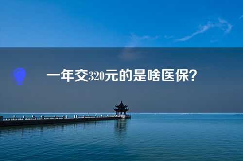一年交320元的是啥医保？
