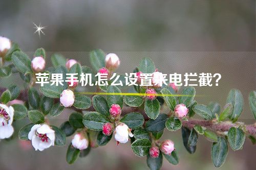 苹果手机怎么设置来电拦截？