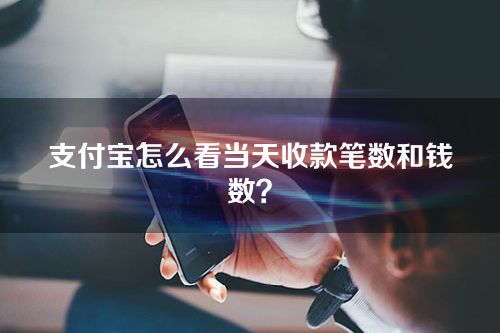 支付宝怎么看当天收款笔数和钱数？