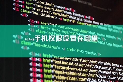 vivo手机权限设置在哪里