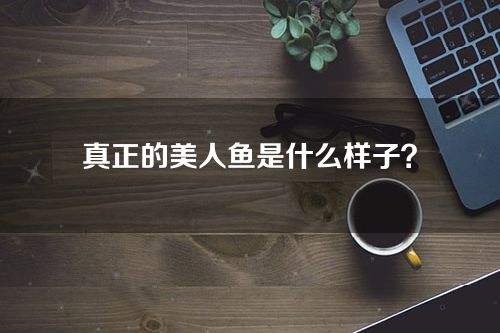 真正的美人鱼是什么样子？