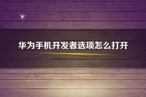 华为手机开发者选项怎么打开-鸿蒙手机打开开发者模式