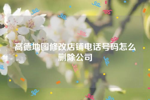 高德地图修改店铺电话号码怎么删除公司