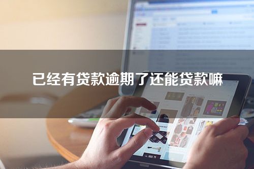 已经有贷款逾期了还能贷款嘛（可以申请但要看逾期水平）
