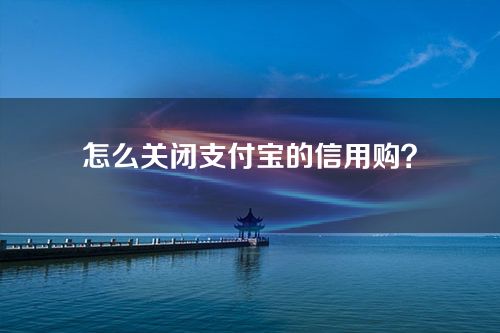 怎么关闭支付宝的信用购？