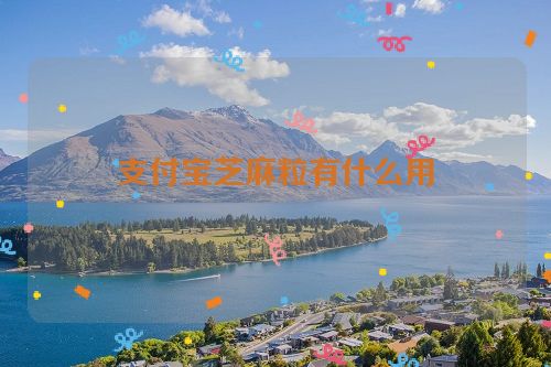 支付宝芝麻粒有什么用？
