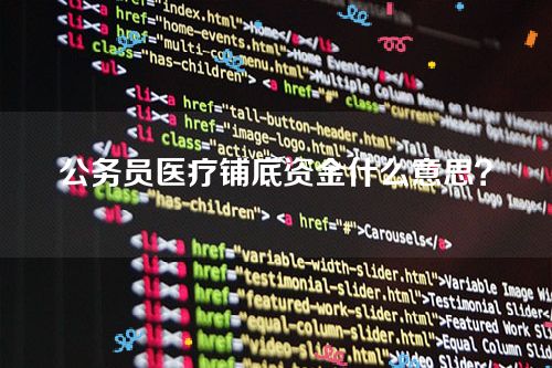 公务员医疗铺底资金什么意思？