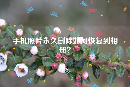 手机照片永久删除如何恢复到相册？