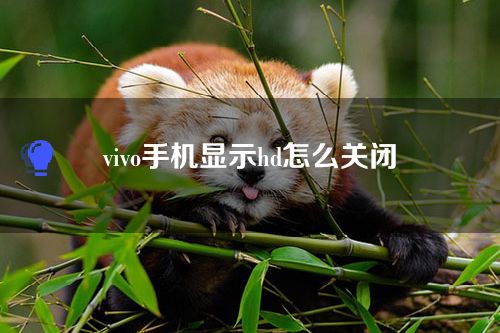 vivo手机显示hd怎么关闭？