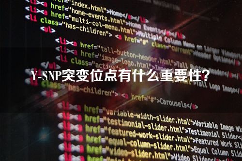 Y-SNP突变位点有什么重要性？