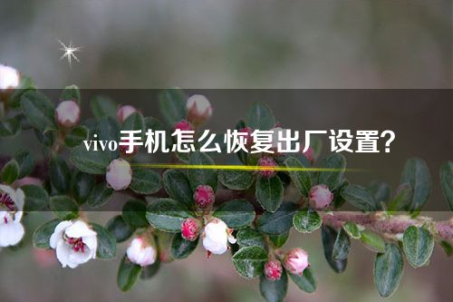 ​vivo手机怎么恢复出厂设置？