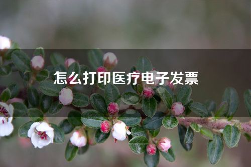 医疗电子票据怎么获取-怎么打印医疗电子发票