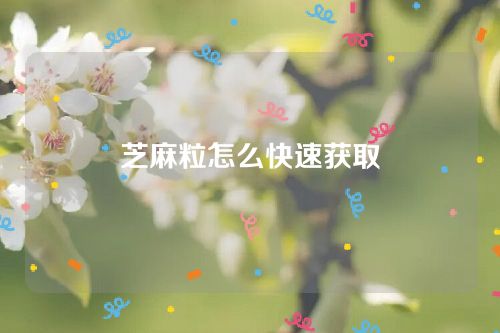 蚂蚁信用芝麻粒怎么快速获取？