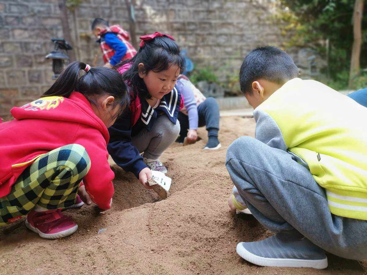 挖呀挖为啥走红(挖呀挖呀嗖嗖歌曲 视频)
